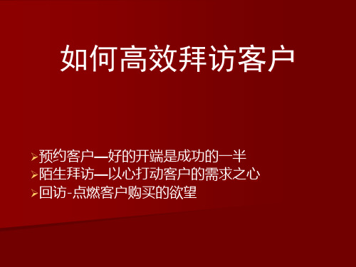 如何高效拜访客户(PPT53页).pptx