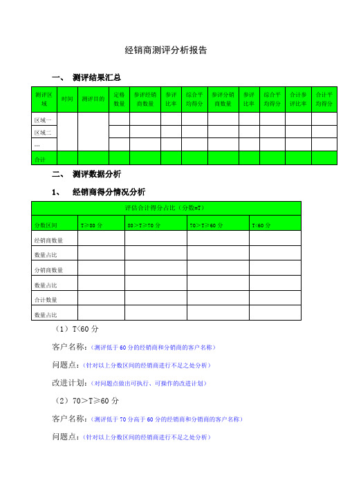 经销商测评分析报告 模板