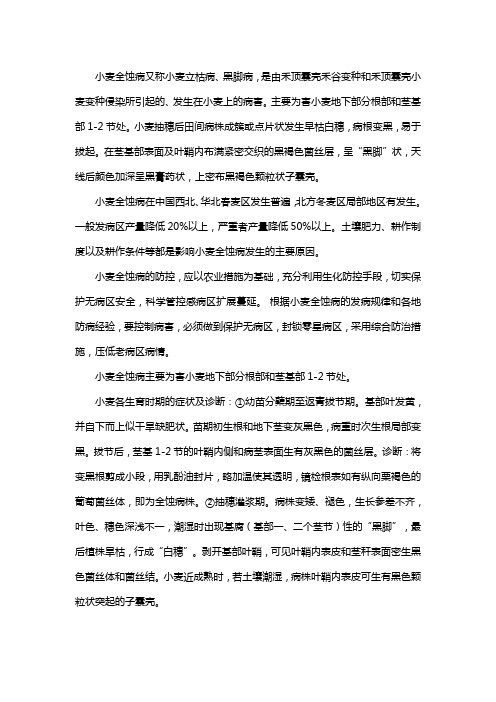 小麦全蚀病的防治方法