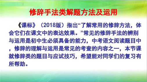 修辞手法类解题方法及运用