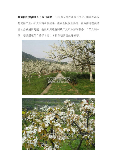 苍溪梨花节