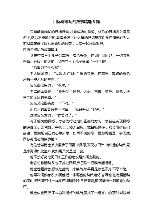 目标与成功的故事精选3篇