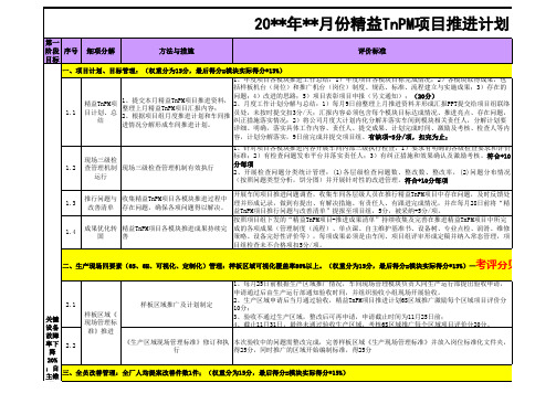 精益TnPM项目推进计划评分表