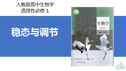 细胞生活的环境课件-高二上学期生物人教版选择性必修1