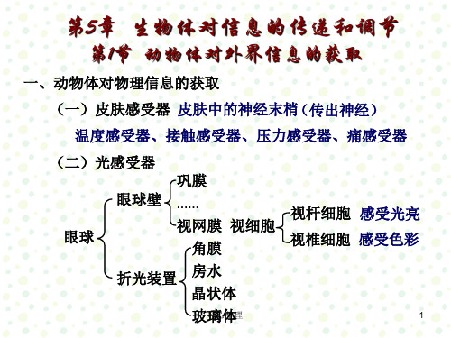 生物体对信息的传递和调节详细版.ppt