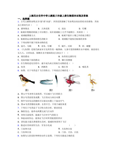 上海民办交华中学人教版八年级上册生物期末试卷及答案