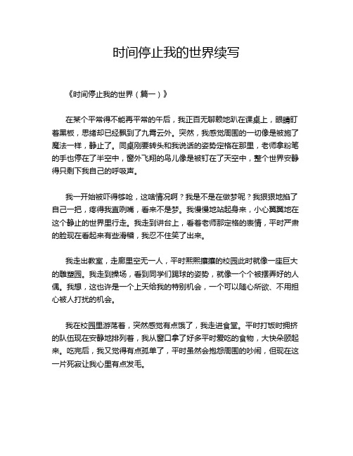时间停止我的世界续写