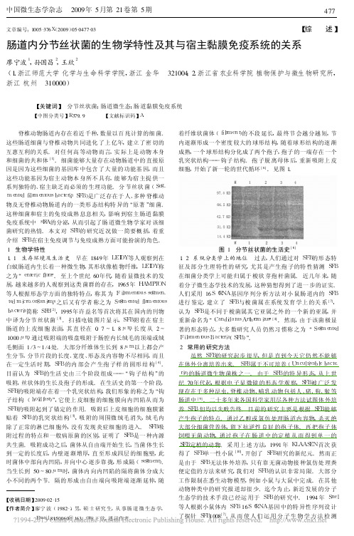 肠道内分节丝状菌的生物学特性及其与宿主黏膜免疫系统的关系_廖宁波