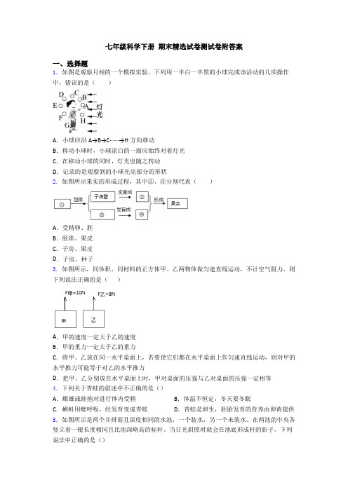 七年级科学下册 期末精选试卷测试卷附答案