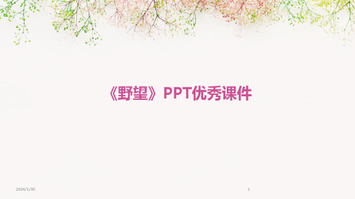 《野望》PPT优秀课件(2024)