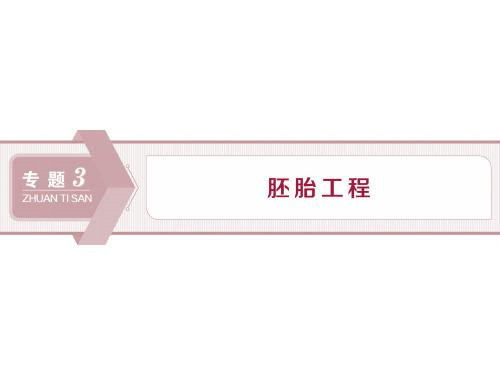 人教版选修3 3.1 体内受精和早期胚胎发育 课件(59张)