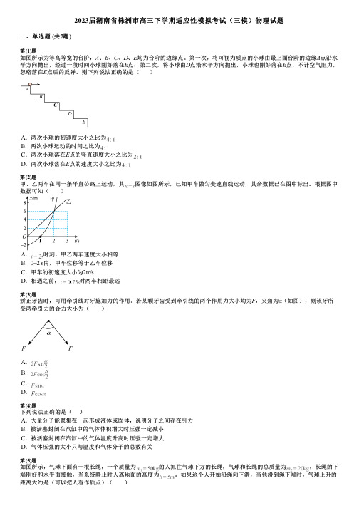 2023届湖南省株洲市高三下学期适应性模拟考试(三模)物理试题