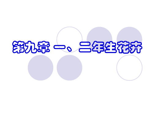 第九章 一、二年生花卉