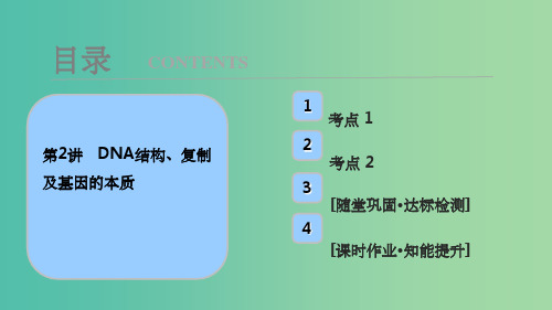 高考生物大一轮复习第五单元遗传的分子基础第2讲DNA结构复制及基因的本质