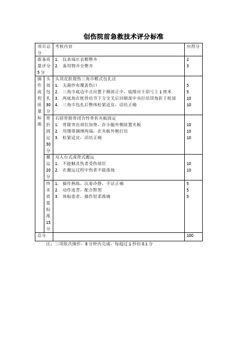 红十字急救知识项目评分