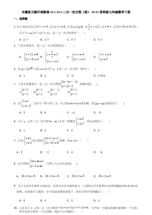 10.1-10.2二元一次方程(组)-2020-2021学年苏科版七年级数学下册专题复习提升训练