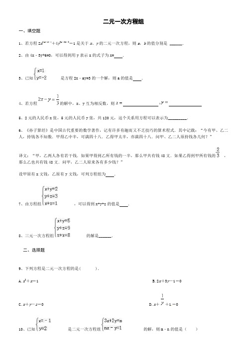 中考数学专题：二元一次方程组专题训练