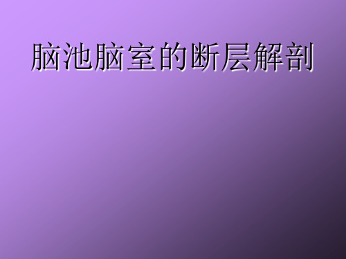 脑室脑池的断层解剖