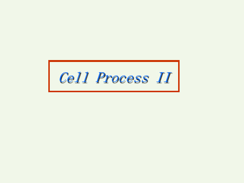 7寸CELL后段制程简介