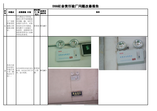 DSG社会责任审核问题点[1]...