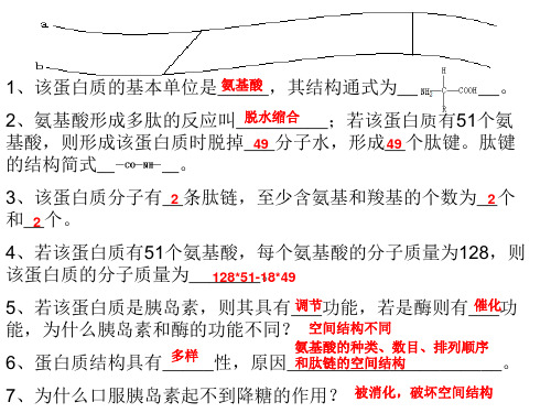 蛋白质的合成与运输