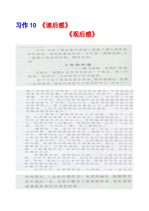 沪教版五年级下册习作10《读后感》《观后感》范文(计56篇)