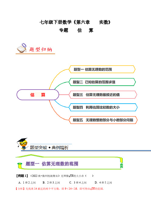 专题：估算(解析版)