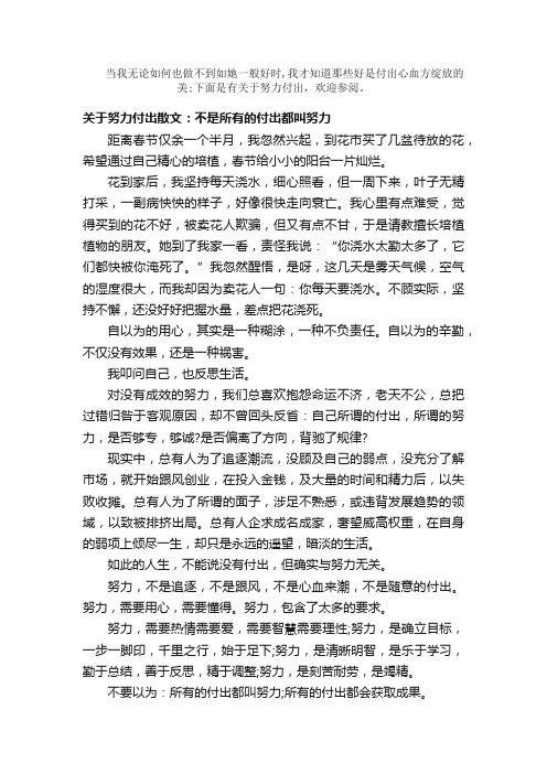 散文：关于努力付出散文