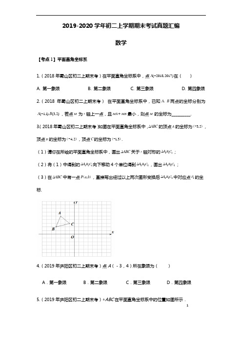 安徽省合肥市各区2019-2020年初二数学上学期期末考试真题汇编全 附解析