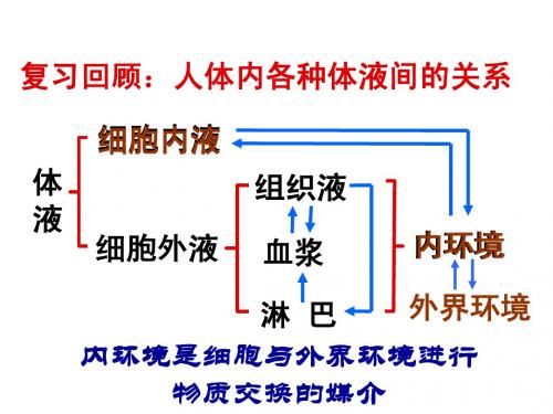 第二节内环境稳态的重要性