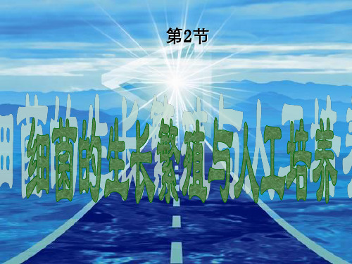 细菌生长繁殖与培养