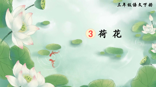 部编版三年级语文下册第3课《荷花》优质课件【最新】