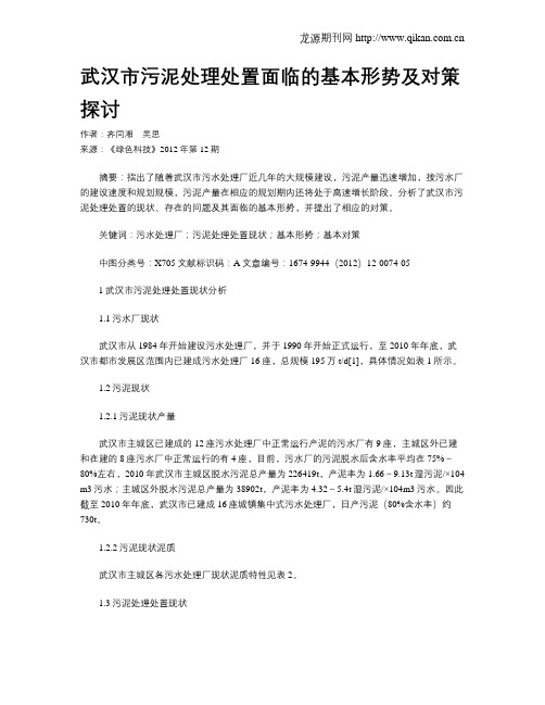 武汉市污泥处理处置面临的基本形势及对策探讨