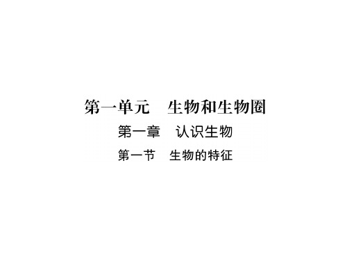 秋七年级生物上册人教版同步作业课件：1.1.1 生物的特征(共22张PPT)