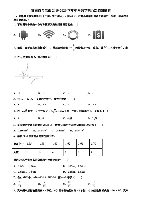 甘肃省金昌市2019-2020学年中考数学第五次调研试卷含解析