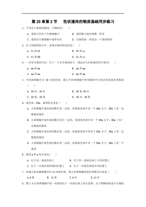 北师大版生物八年级上册20.2《性状遗传的物质基础》练习题