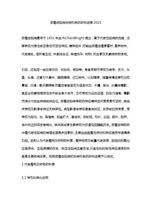 尿毒症脑病发病机制的研究进展2023