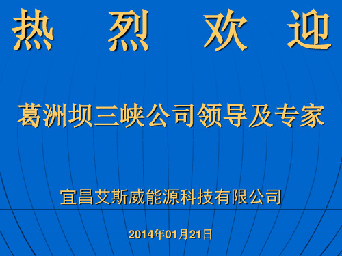 三峡花苑项目能源规划与投资.