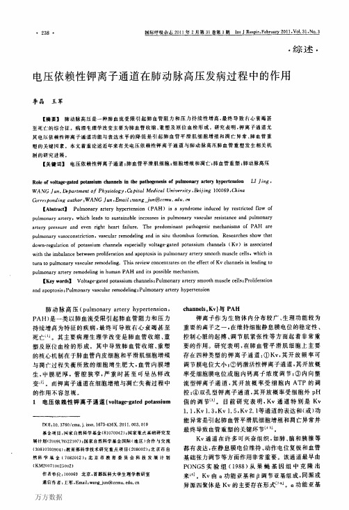 电压依赖性钾离子通道在肺动脉高压发病过程中的作用