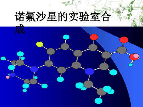 诺氟沙星过程简介