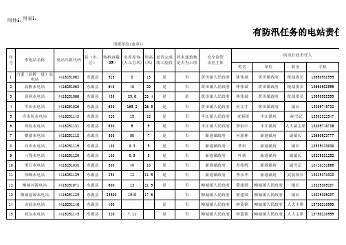 有防汛任务的电站责任人与责任主体情况表