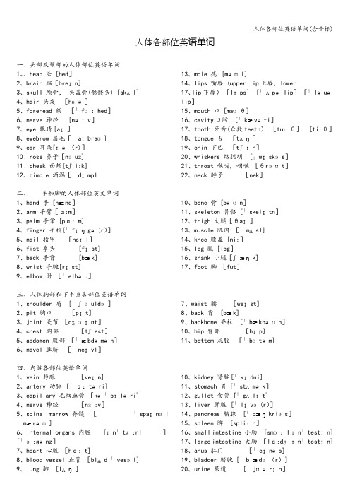 人体各部位英语单词(含音标)