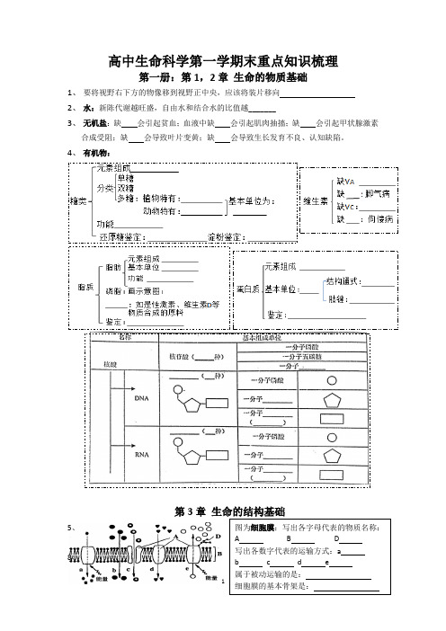 沪教版高中生命科学(生物)第一学期末(1-6章)知识梳理