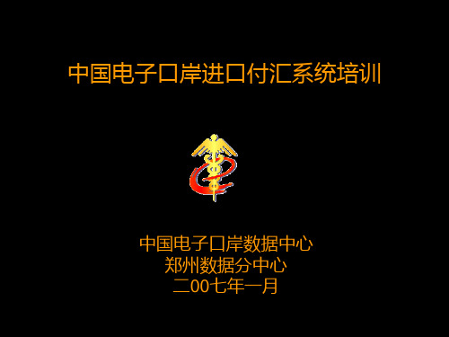 中国电子口岸进口付汇系统培训.pptx