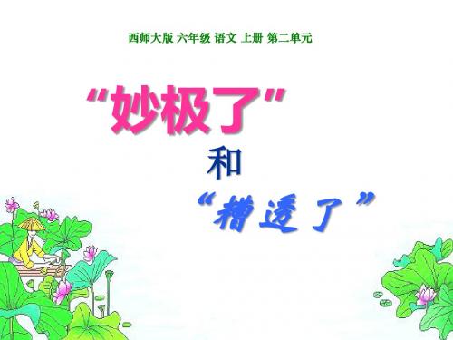 《妙极了与糟透了》PPT优秀课件4