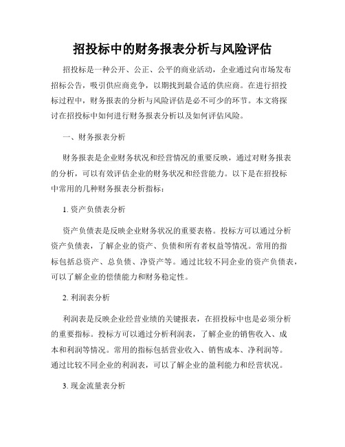 招投标中的财务报表分析与风险评估