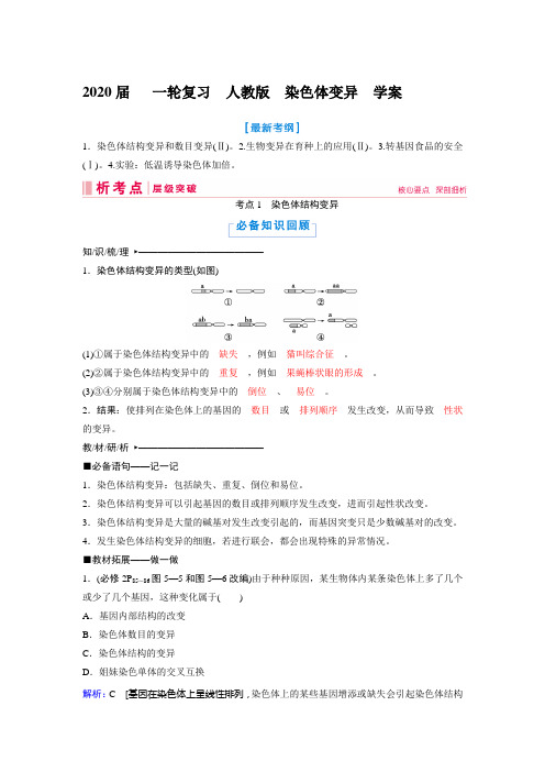 2020年高考   一轮复习  人教版  染色体变异  学案.doc