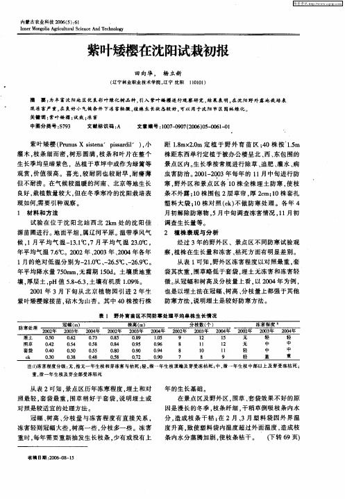 紫叶矮樱在沈阳试栽初报