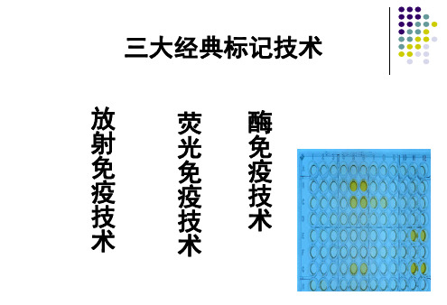 第9章酶免疫试验