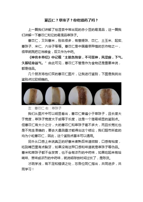 薏苡仁？草珠子？你吃错药了吗？